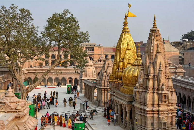 Temple Tour with Expert Guides